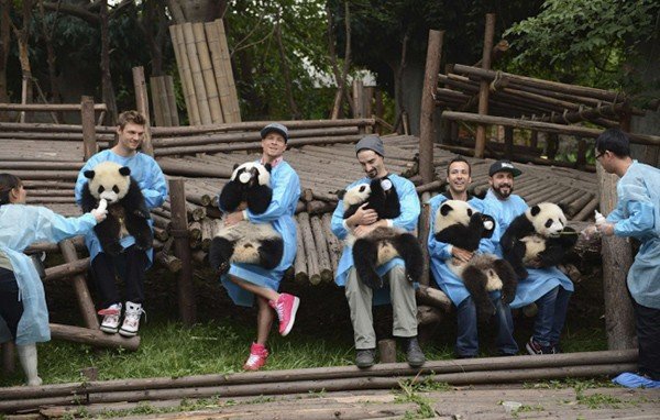 backstreet boys cantano ai panda