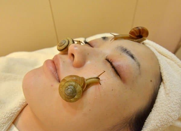 Trattamento di bellezza con lumache vive