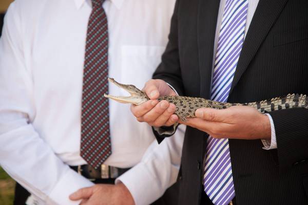  Ecco il coccodrillo del Royal Baby