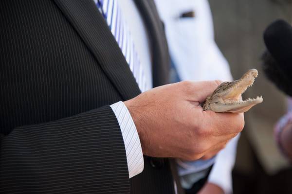  Ecco il coccodrillo del Royal Baby