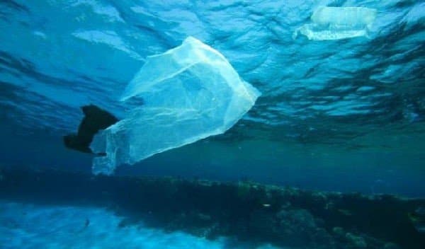 Plastic Busters, la barca acchiappa plastica in mare