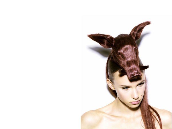 Strane acconciature a forma di animale